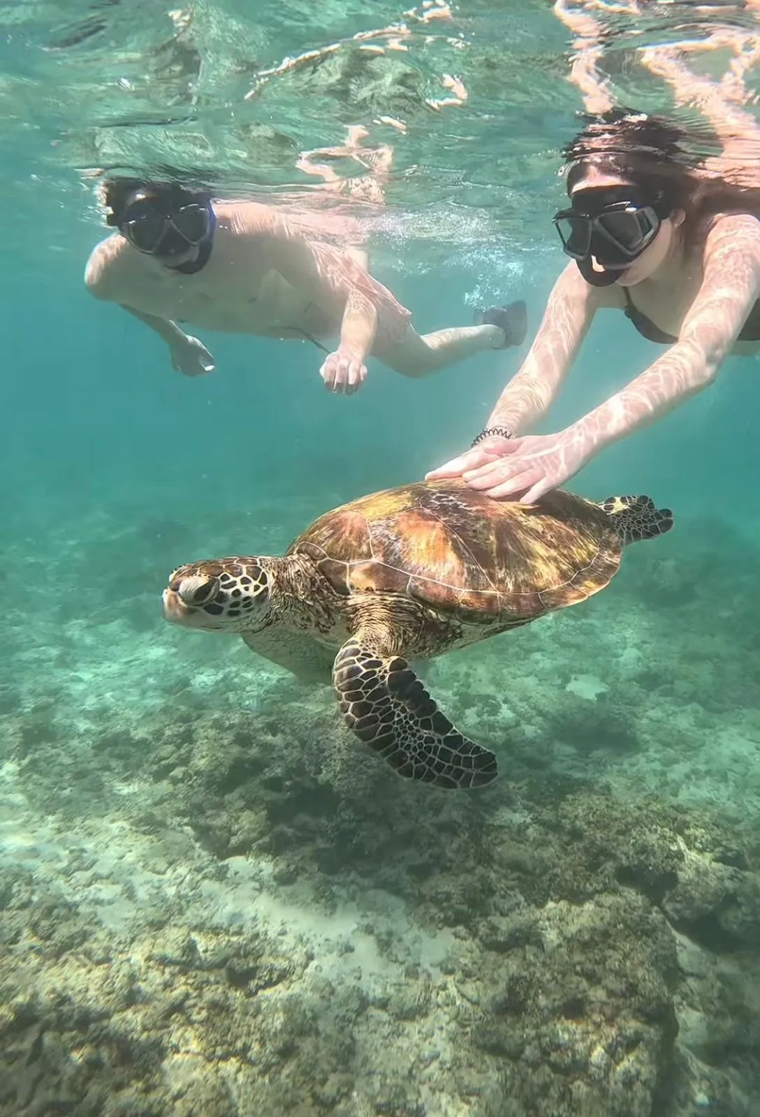 Two snorkellers swimming beside a sea turtle over a coral reef in Sri Lanka